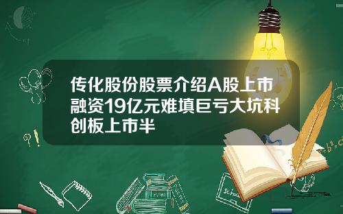 传化股份股票介绍A股上市融资19亿元难填巨亏大坑科创板上市半