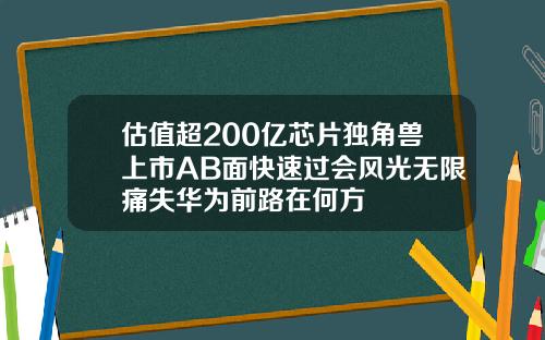 估值超200亿芯片独角兽上市AB面快速过会风光无限痛失华为前路在何方