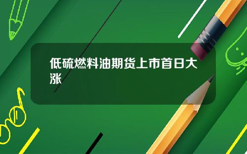 低硫燃料油期货上市首日大涨