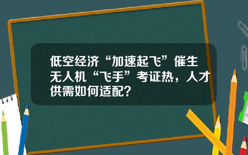 低空经济“加速起飞”催生无人机“飞手”考证热，人才供需如何适配？