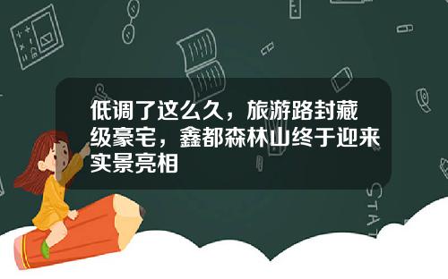 低调了这么久，旅游路封藏级豪宅，鑫都森林山终于迎来实景亮相