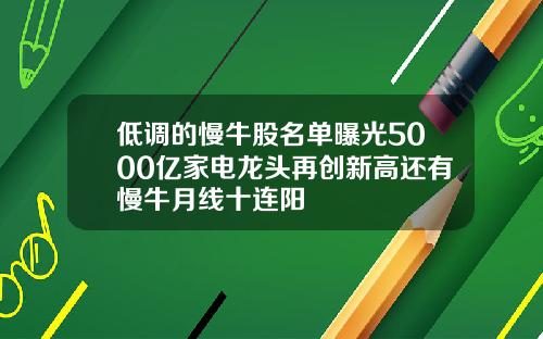低调的慢牛股名单曝光5000亿家电龙头再创新高还有慢牛月线十连阳