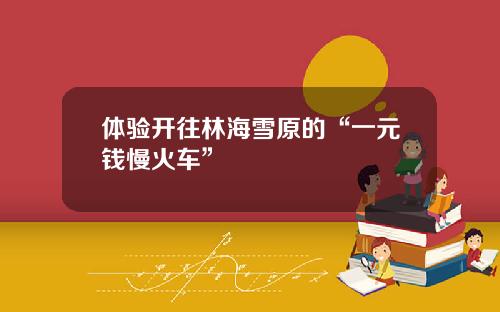 体验开往林海雪原的“一元钱慢火车”