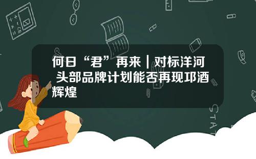 何日“君”再来｜对标洋河 头部品牌计划能否再现邛酒辉煌