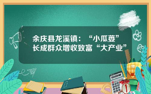 余庆县龙溪镇：“小瓜蒌”长成群众增收致富“大产业”