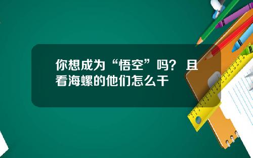 你想成为“悟空”吗？ 且看海螺的他们怎么干