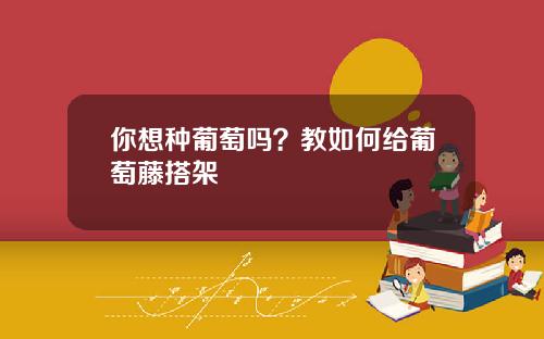 你想种葡萄吗？教如何给葡萄藤搭架