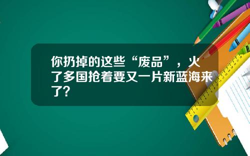 你扔掉的这些“废品”，火了多国抢着要又一片新蓝海来了？