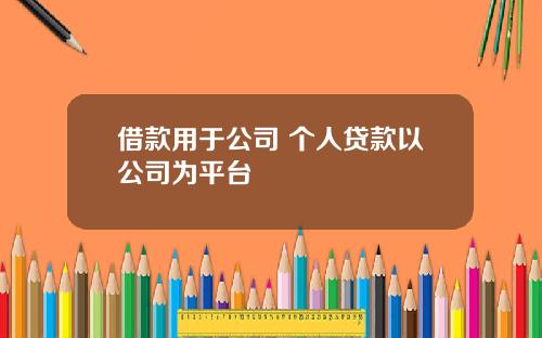 借款用于公司 个人贷款以公司为平台
