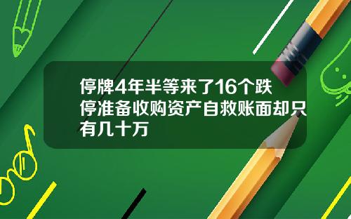 停牌4年半等来了16个跌停准备收购资产自救账面却只有几十万