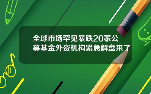 全球市场罕见暴跌20家公募基金外资机构紧急解盘来了