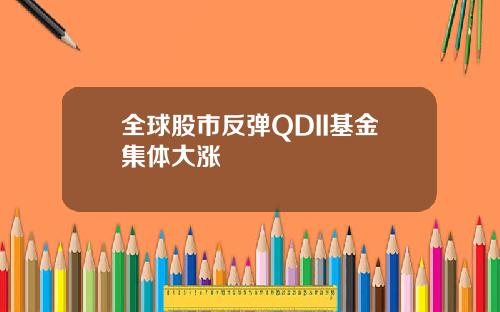 全球股市反弹QDII基金集体大涨