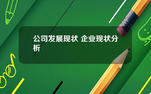 公司发展现状 企业现状分析