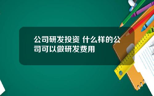 公司研发投资 什么样的公司可以做研发费用