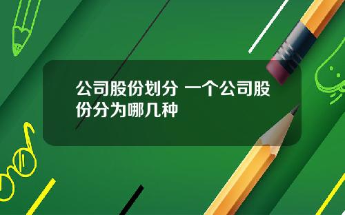 公司股份划分 一个公司股份分为哪几种