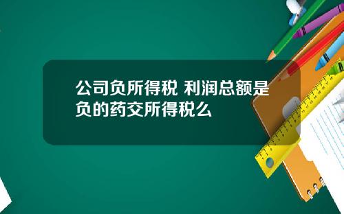 公司负所得税 利润总额是负的药交所得税么