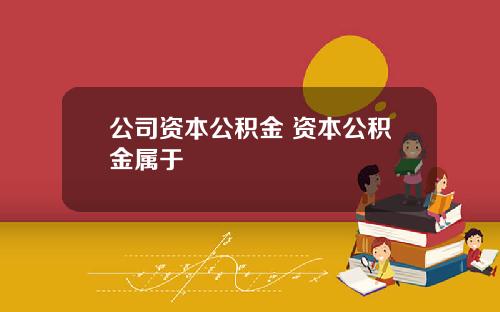 公司资本公积金 资本公积金属于