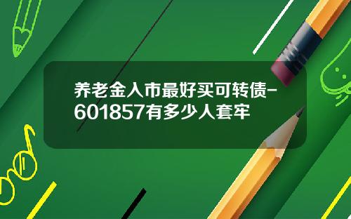 养老金入市最好买可转债-601857有多少人套牢