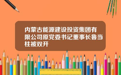 内蒙古能源建设投资集团有限公司原党委书记董事长鲁当柱被双开