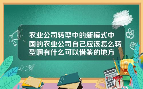 农业公司转型中的新模式中国的农业公司自己应该怎么转型啊有什么可以借鉴的地方