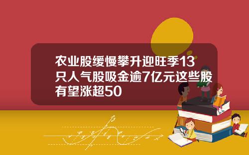 农业股缓慢攀升迎旺季13只人气股吸金逾7亿元这些股有望涨超50