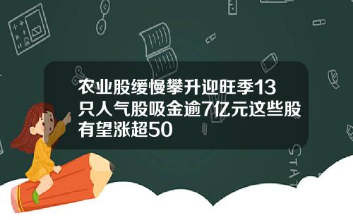 农业股缓慢攀升迎旺季13只人气股吸金逾7亿元这些股有望涨超50