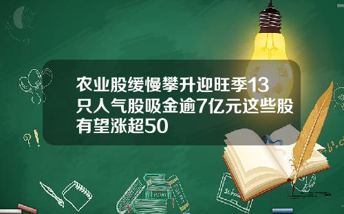 农业股缓慢攀升迎旺季13只人气股吸金逾7亿元这些股有望涨超50