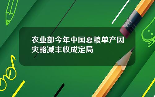 农业部今年中国夏粮单产因灾略减丰收成定局