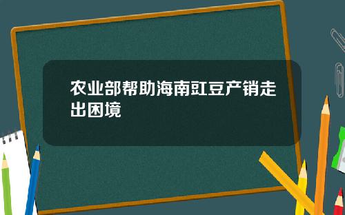 农业部帮助海南豇豆产销走出困境