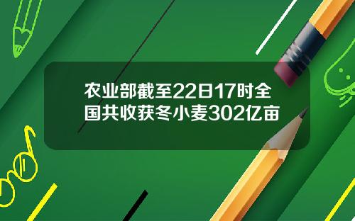 农业部截至22日17时全国共收获冬小麦302亿亩