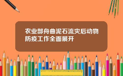 农业部舟曲泥石流灾后动物防疫工作全面展开