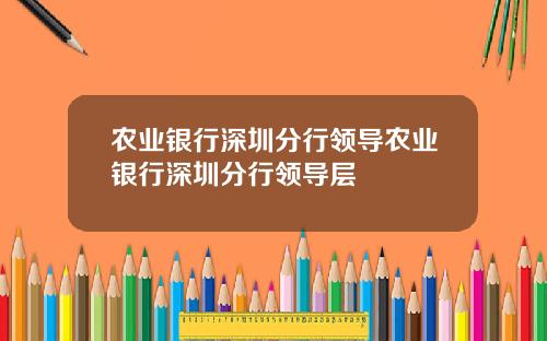 农业银行深圳分行领导农业银行深圳分行领导层