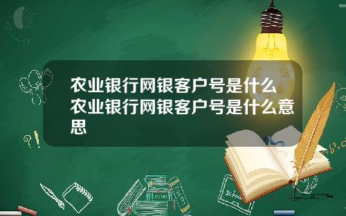 农业银行网银客户号是什么农业银行网银客户号是什么意思