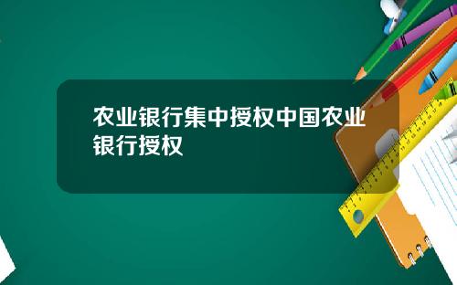 农业银行集中授权中国农业银行授权