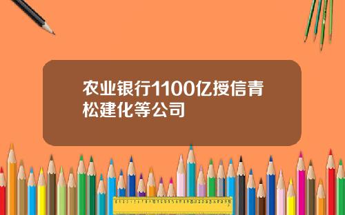 农业银行1100亿授信青松建化等公司