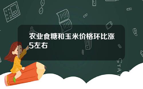 农业食糖和玉米价格环比涨5左右