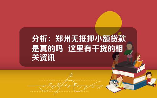 分析：郑州无抵押小额贷款是真的吗  这里有干货的相关资讯
