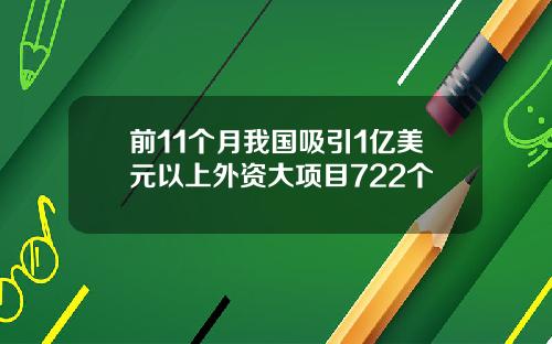 前11个月我国吸引1亿美元以上外资大项目722个