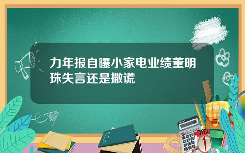 力年报自曝小家电业绩董明珠失言还是撒谎