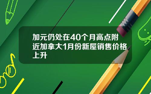 加元仍处在40个月高点附近加拿大1月份新屋销售价格上升