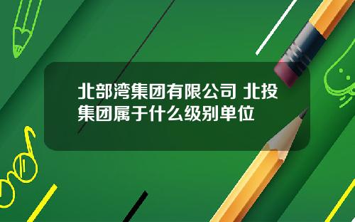 北部湾集团有限公司 北投集团属于什么级别单位