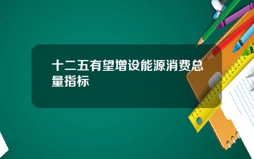 十二五有望增设能源消费总量指标