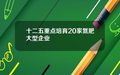 十二五重点培育20家氮肥大型企业