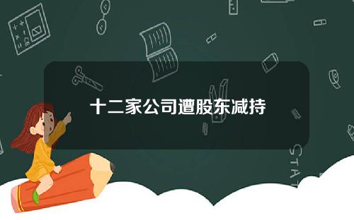 十二家公司遭股东减持