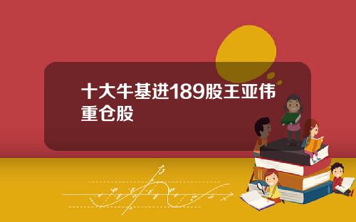 十大牛基进189股王亚伟重仓股