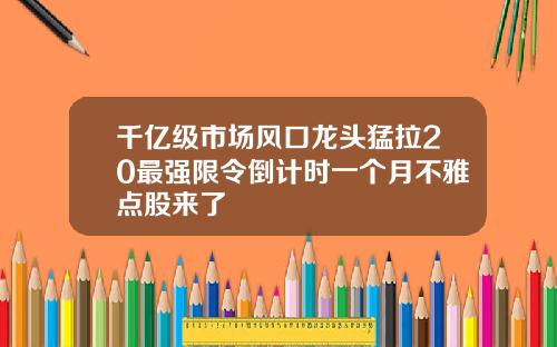 千亿级市场风口龙头猛拉20最强限令倒计时一个月不雅点股来了