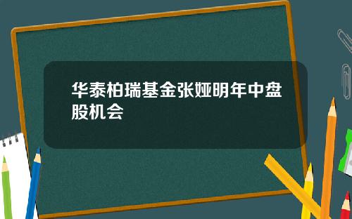 华泰柏瑞基金张娅明年中盘股机会