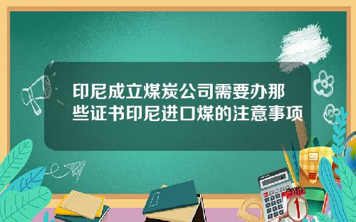 印尼成立煤炭公司需要办那些证书印尼进口煤的注意事项