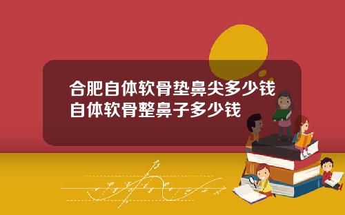 合肥自体软骨垫鼻尖多少钱自体软骨整鼻子多少钱