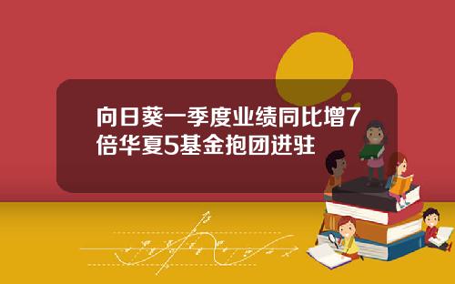 向日葵一季度业绩同比增7倍华夏5基金抱团进驻